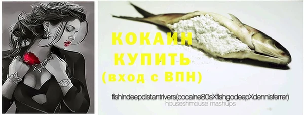 прущая мука Нея