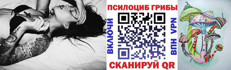 ссылка на мегу зеркало  Стародуб  Галлюциногенные грибы ЛСД  купить  цена 