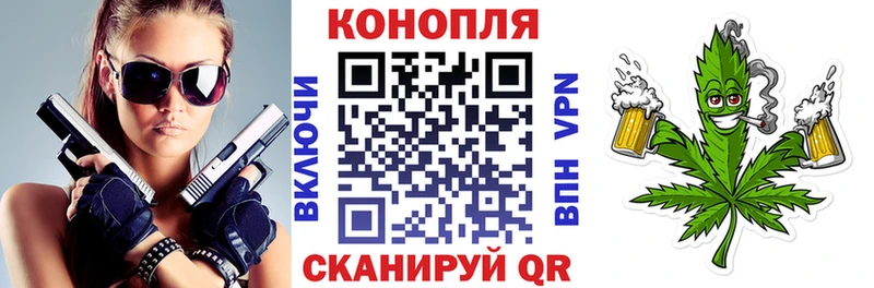 Бошки Шишки марихуана  где найти   Стародуб 